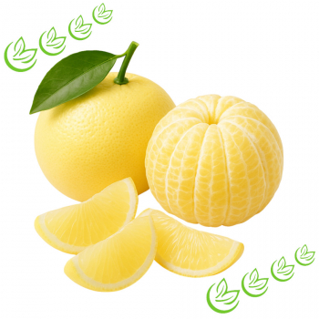 Äth. Grapefruitöl kaltgepresst 1 l